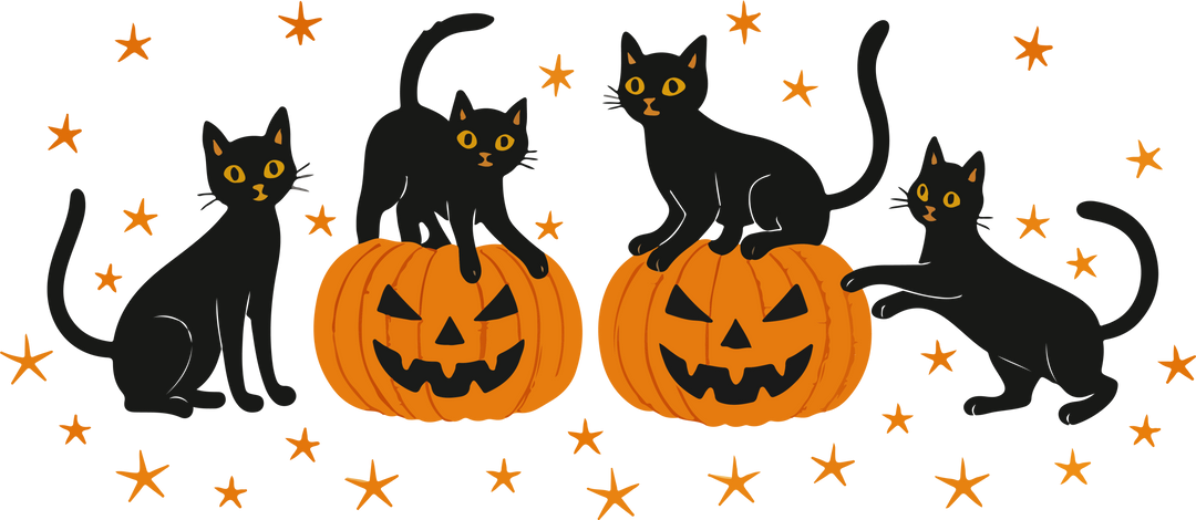 Halloween cat sweater