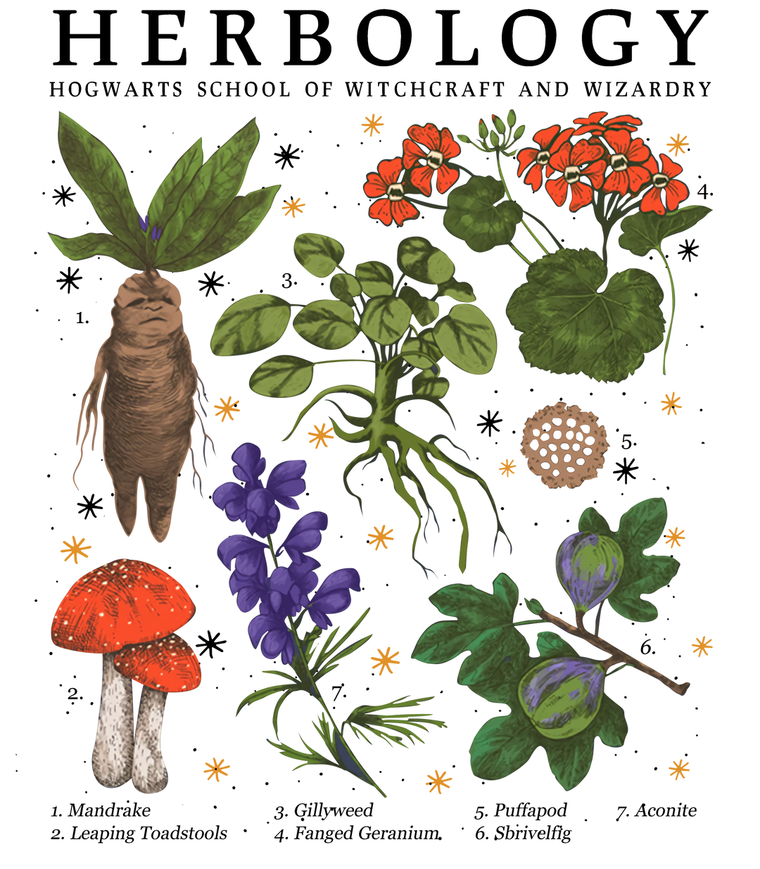 Hogwarts Herbology plants and text