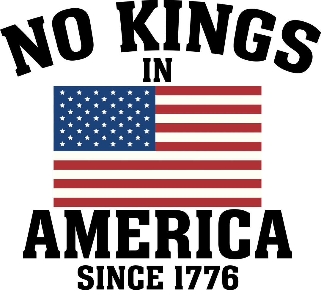 No Kings in America DTF transfer