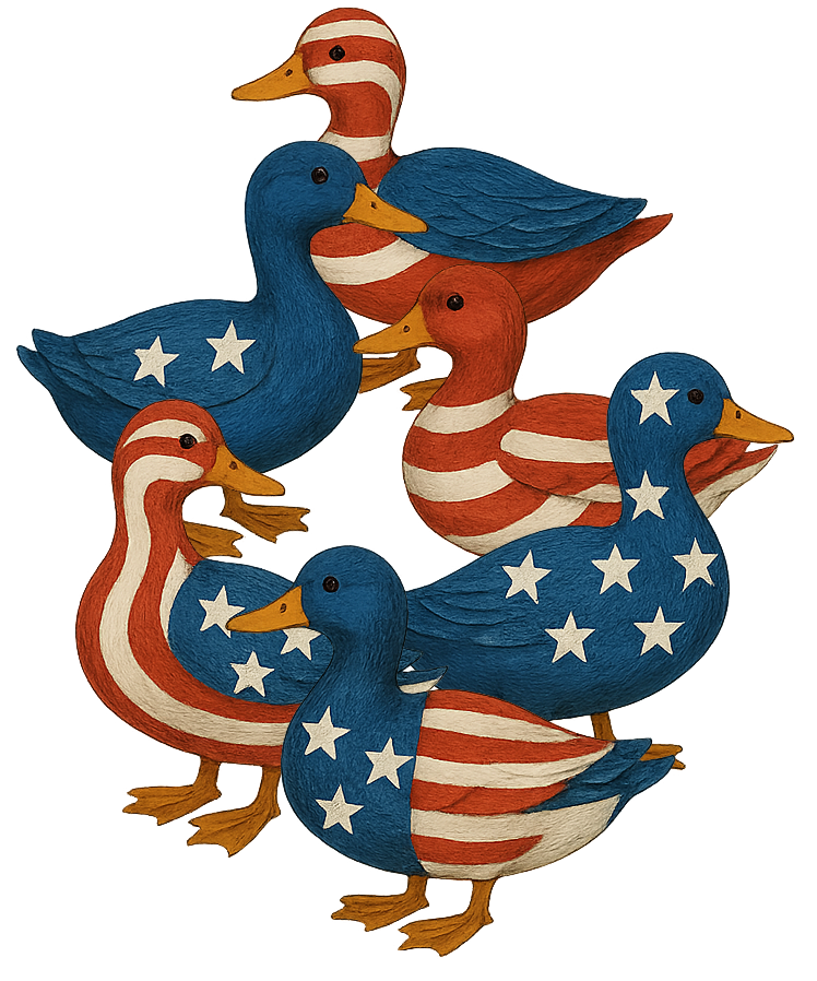 American flag ducks